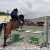 Cours de poney aux Écuries d'Amy